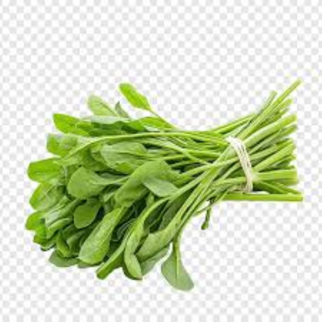 FRESH SAGAA